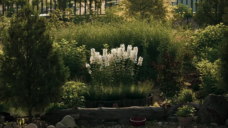 Massif de jardin fleuri éclairé par la lumière dorée du soir, avec bordure de galets et allée de gravier