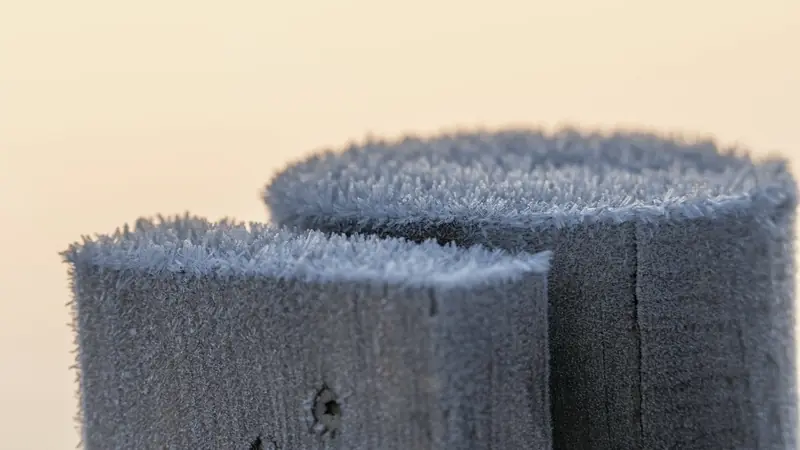 Deux têtes de poteaux en bois couvertes de givre au lever du soleil