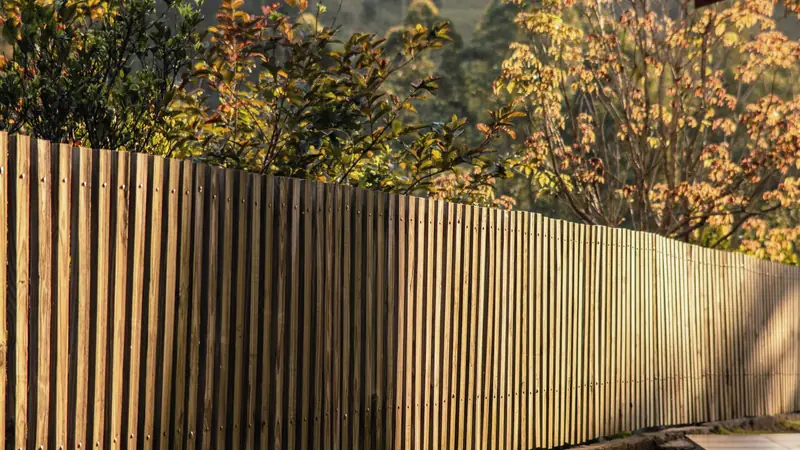 Clôture de jardin en lames de bois verticales, éclairée par un soleil rasant, devant des arbustes au feuillage d'automne