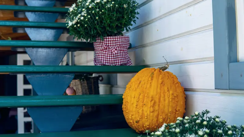 Escalier extérieur en bois peint sans contremarches contre un bardage, décoré d'une citrouille et de chrysanthèmes