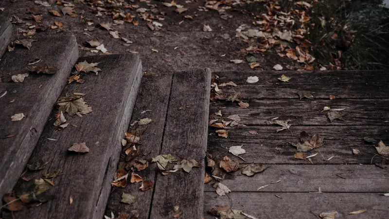Marches en bois grisées par les intempéries et couvertes de feuilles mortes en automne