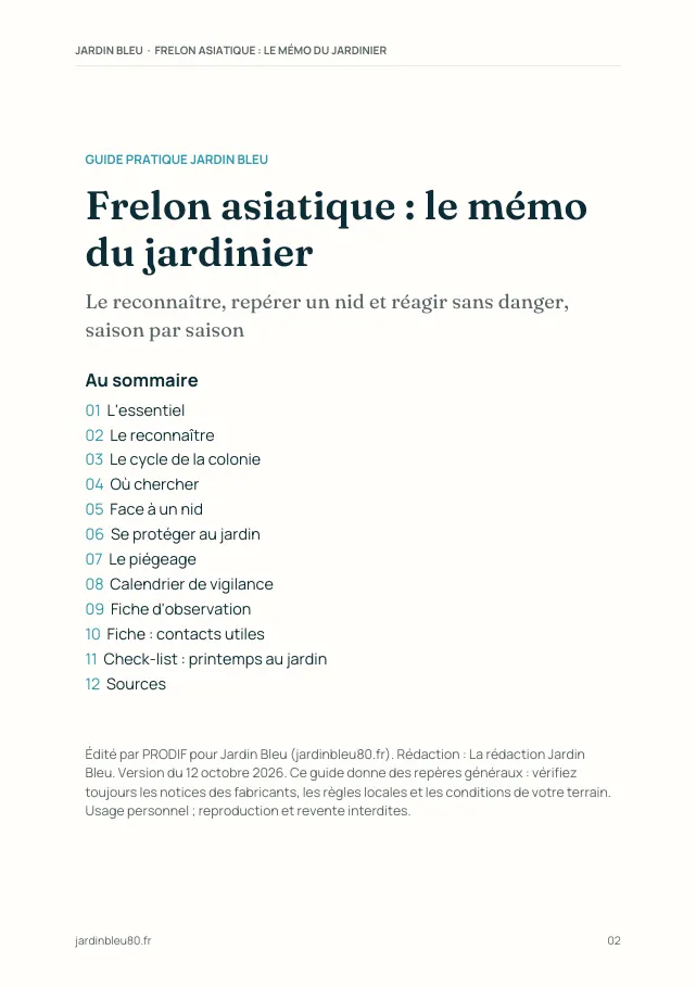 Aperçu de la page 2 de l'ebook Frelon asiatique : le mémo du jardinier
