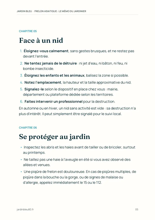 Aperçu de la page 5 de l'ebook Frelon asiatique : le mémo du jardinier