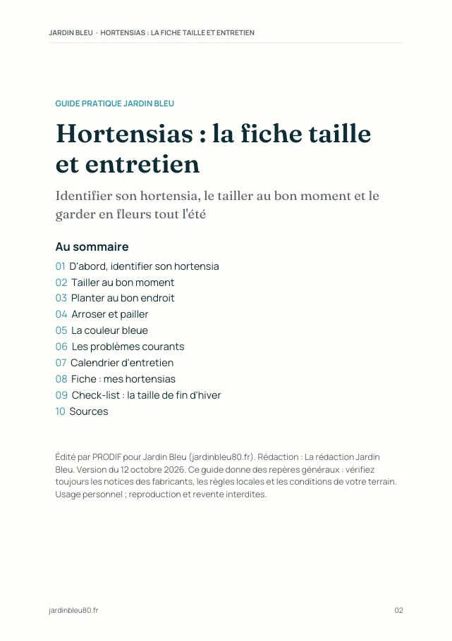 Aperçu de la page 2 de l'ebook Hortensias : la fiche taille et entretien