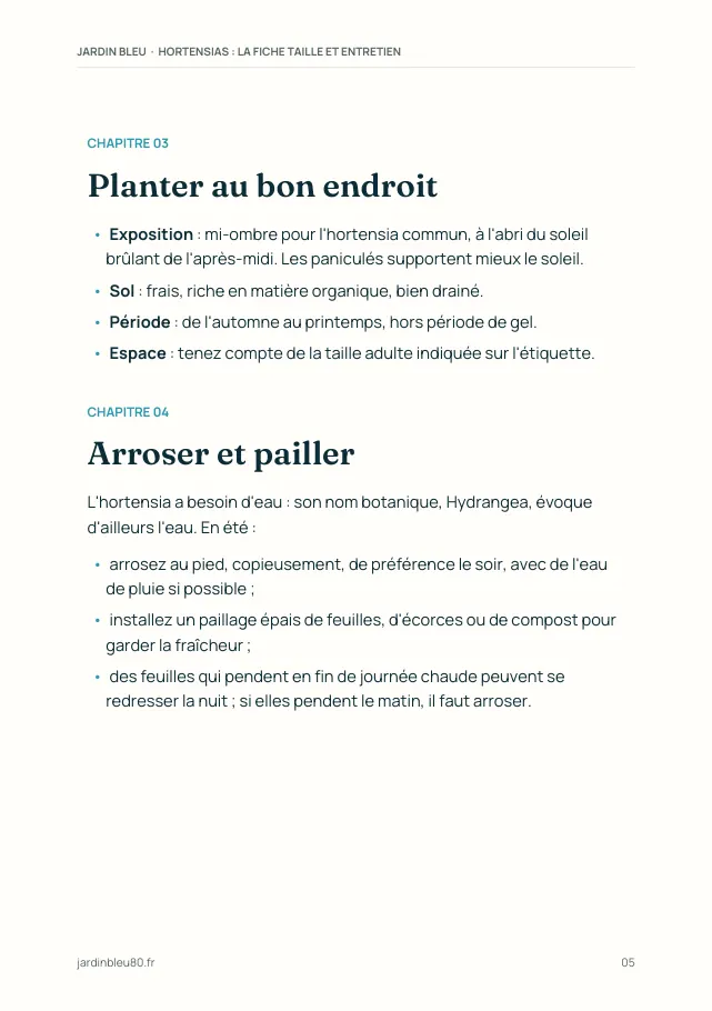 Aperçu de la page 5 de l'ebook Hortensias : la fiche taille et entretien