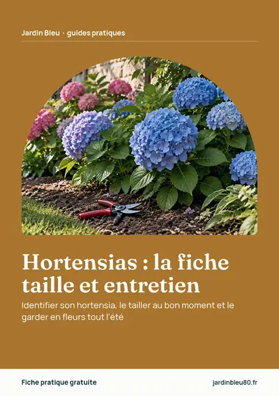 Couverture de l'ebook Hortensias : la fiche taille et entretien
