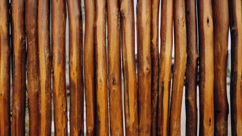 Clôture en piquets de bois brut posés côte à côte, avec des jours visibles entre chaque piquet