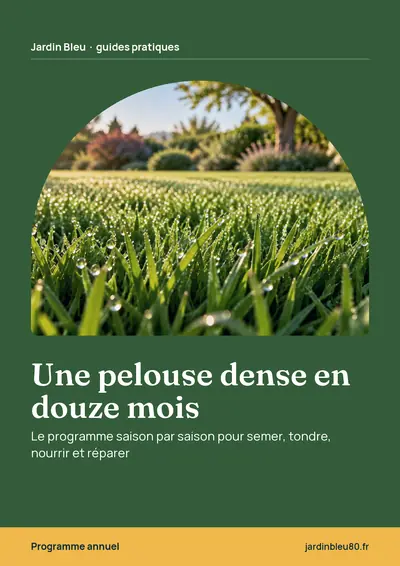 Couverture de l'ebook Une pelouse dense en douze mois