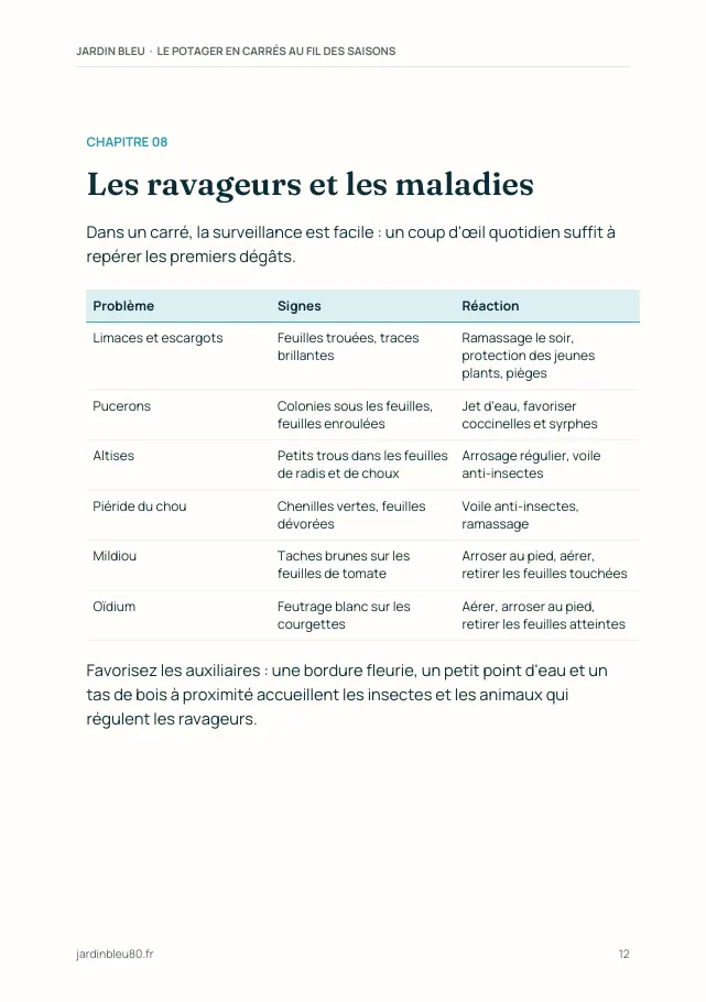 Aperçu de la page 12 de l'ebook Le potager en carrés au fil des saisons