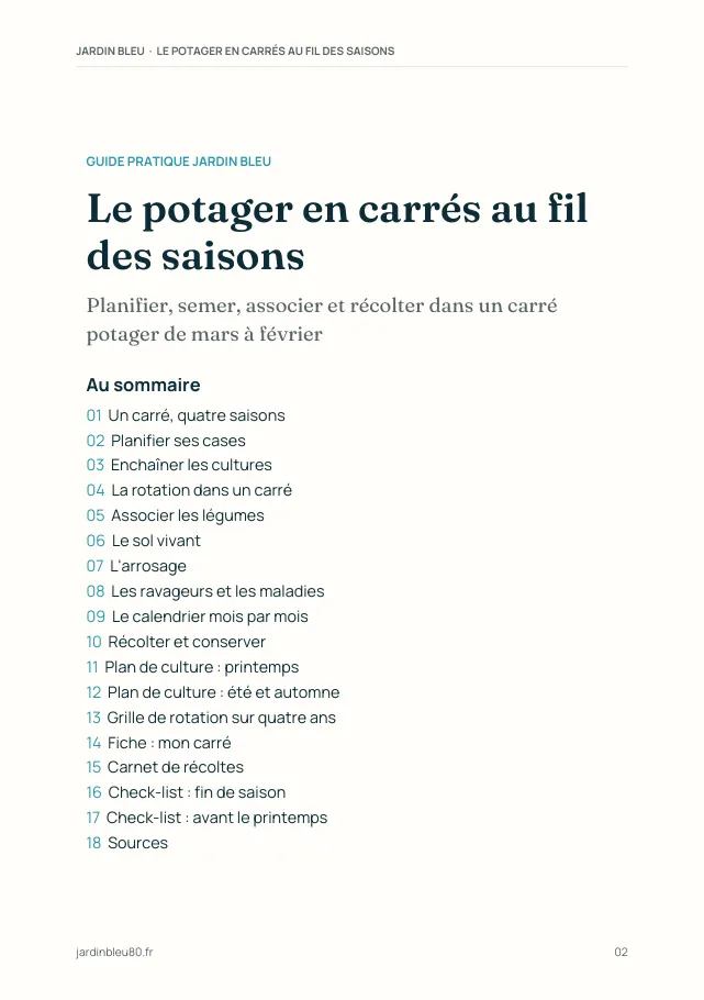 Aperçu de la page 2 de l'ebook Le potager en carrés au fil des saisons