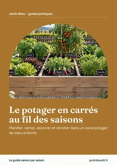 Couverture de l'ebook Le potager en carrés au fil des saisons