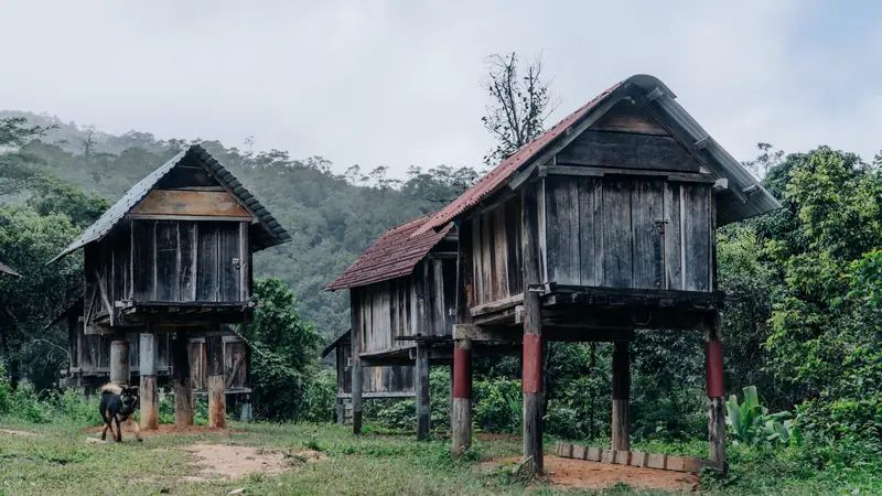 Greniers en bois traditionnels posés sur des poteaux au-dessus du sol, au pied d'une colline boisée